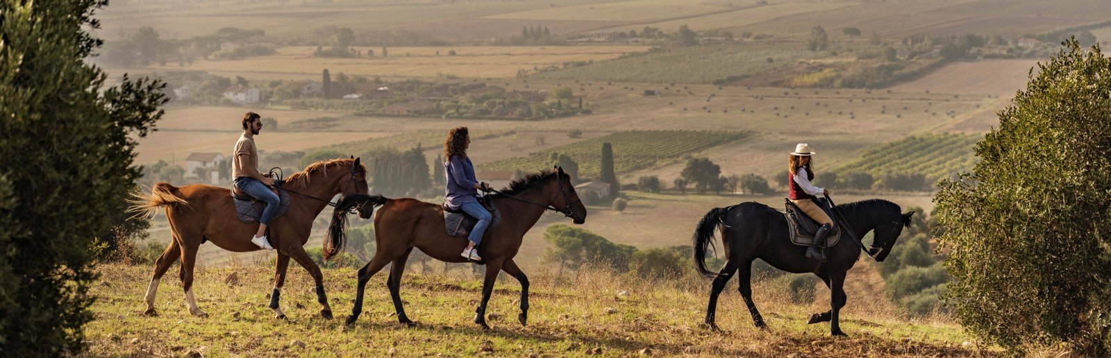 Horseback Riding Adventure