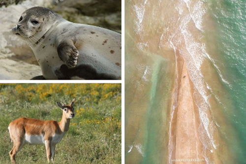 Shahdili — a unique nature tour in Azerbaijan and the Caspian coast